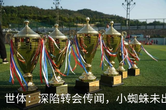 世体：深陷转会传闻，小蜘蛛未出现在马竞新赛季球衣宣传照中